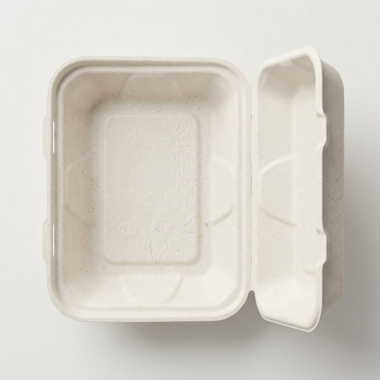 Generated illustration of a generic bagasse hinged takeaway container