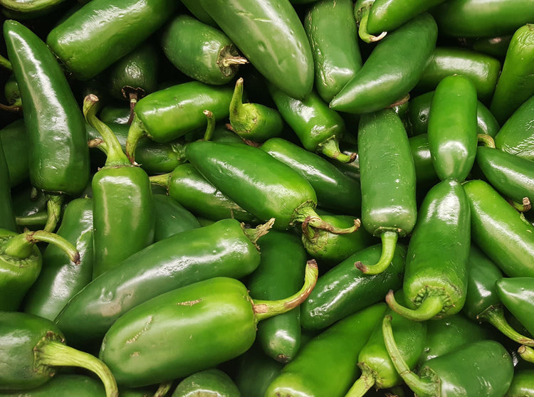 Jalapeno Peppers