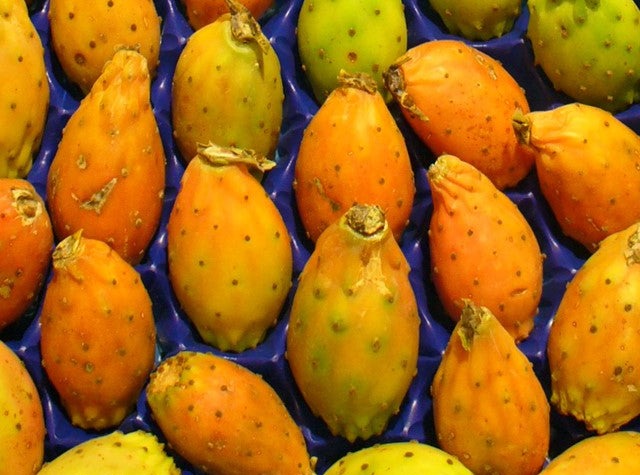 Prickly Pear
