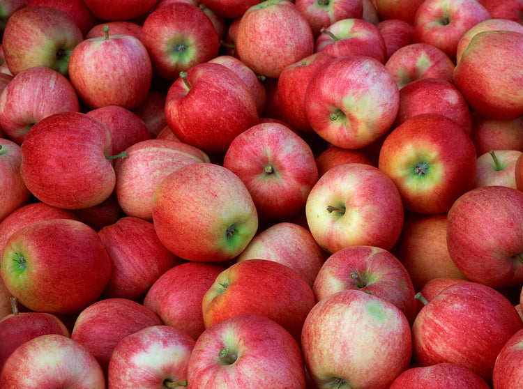 Royal Gala Apples