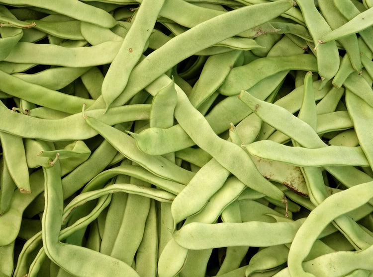 Flat Beans