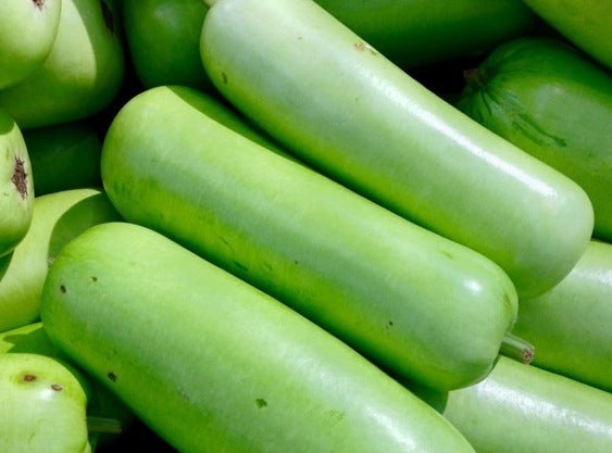 Green Indian Squash