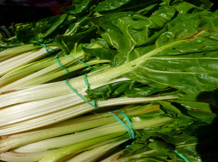 Swiss Chard