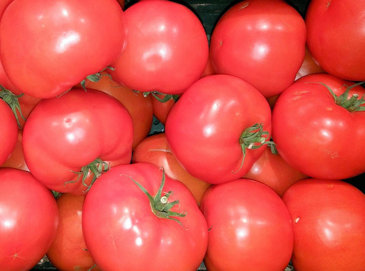 Tomatoes 5x6