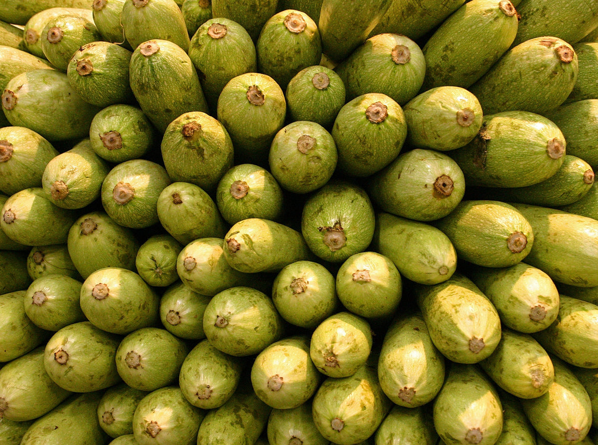 Grey Zucchini